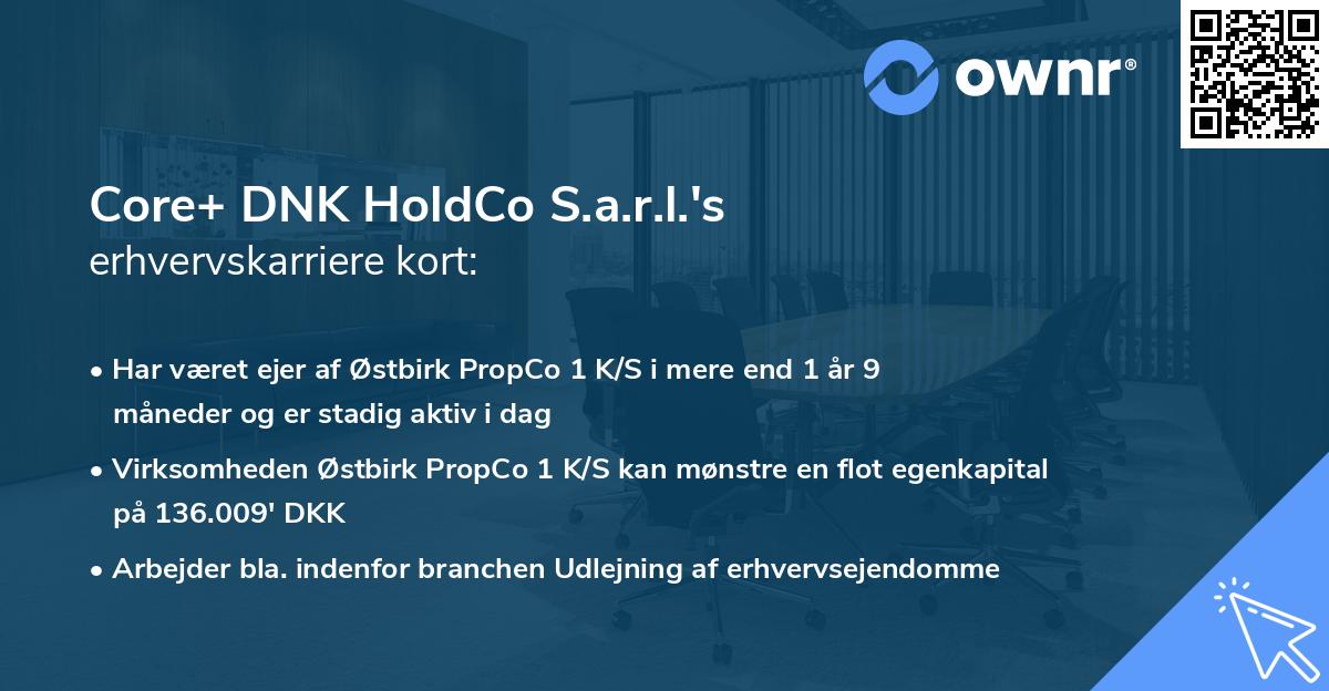 Core+ DNK HoldCo S.a.r.l.'s erhvervskarriere kort