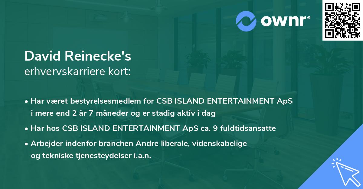 David Reinecke's erhvervskarriere kort