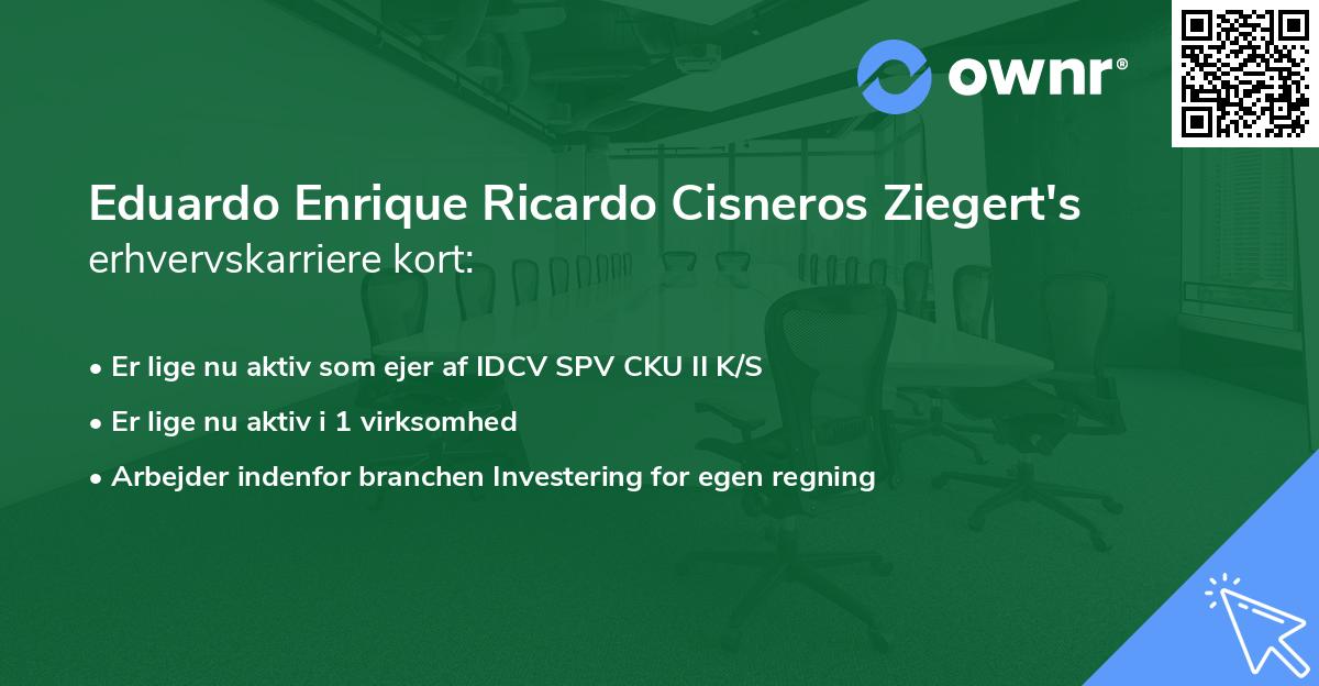 Eduardo Enrique Ricardo Cisneros Ziegert's erhvervskarriere kort