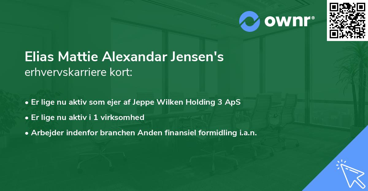 Elias Mattie Alexandar Jensen's erhvervskarriere kort