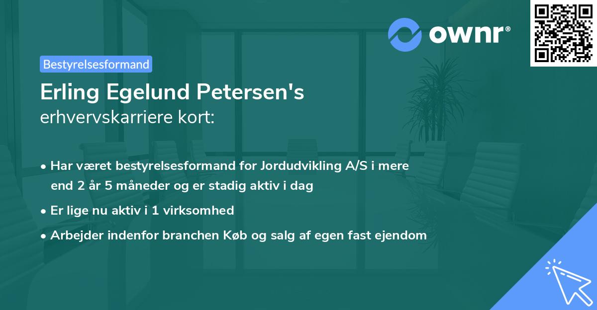 Erling Egelund Petersen's erhvervskarriere kort