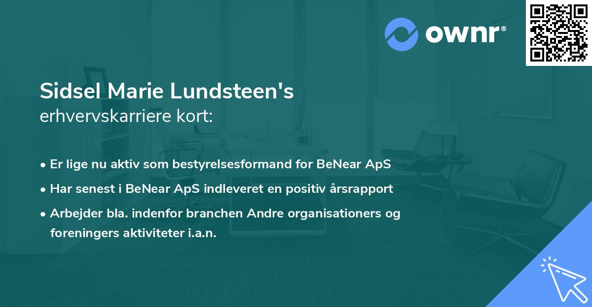Sidsel Marie Lundsteen's erhvervskarriere kort