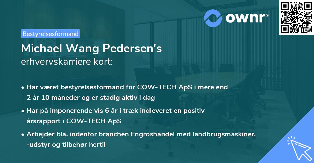Michael Wang Pedersen's erhvervskarriere kort