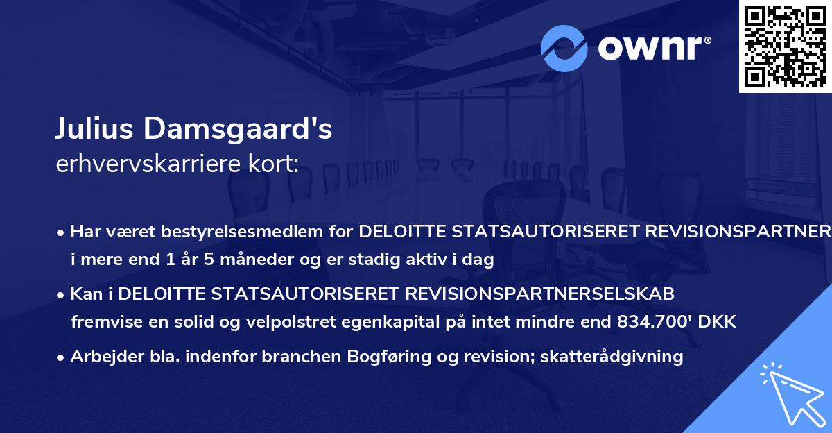 Julius Damsgaard's erhvervskarriere kort
