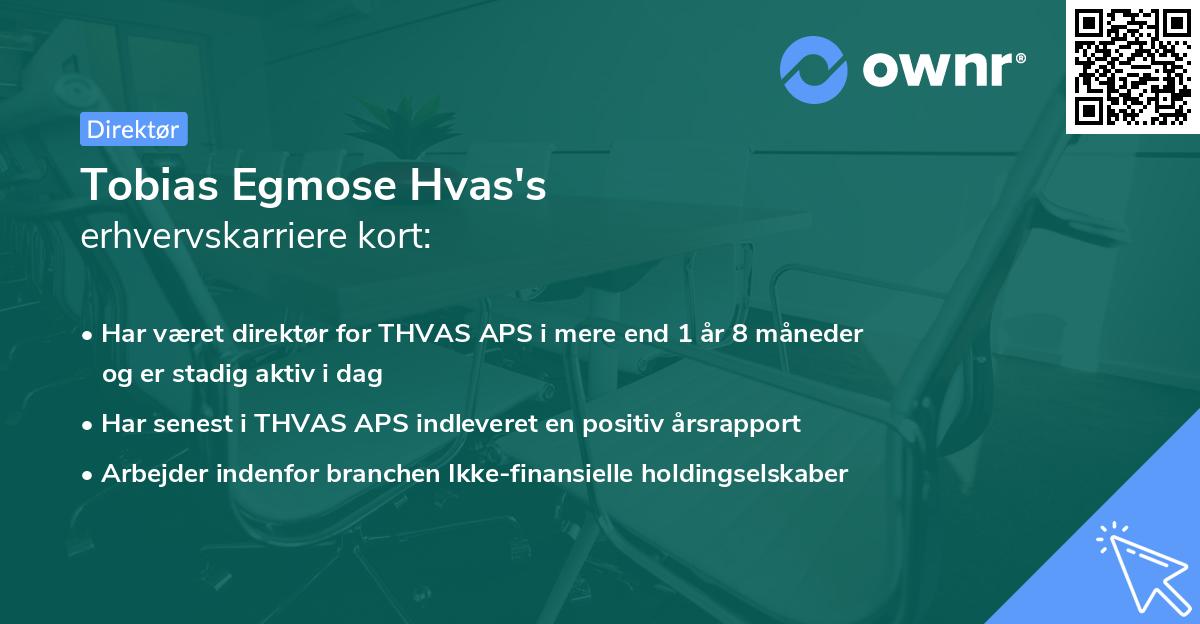 Tobias Egmose Hvas's erhvervskarriere kort