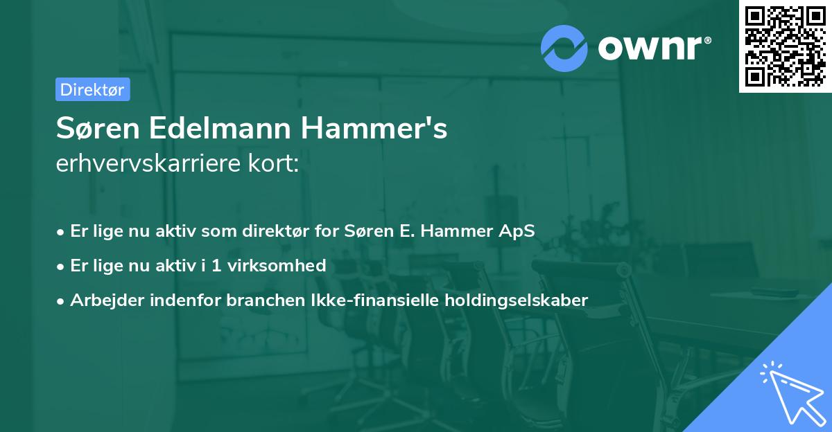Søren Edelmann Hammer's erhvervskarriere kort