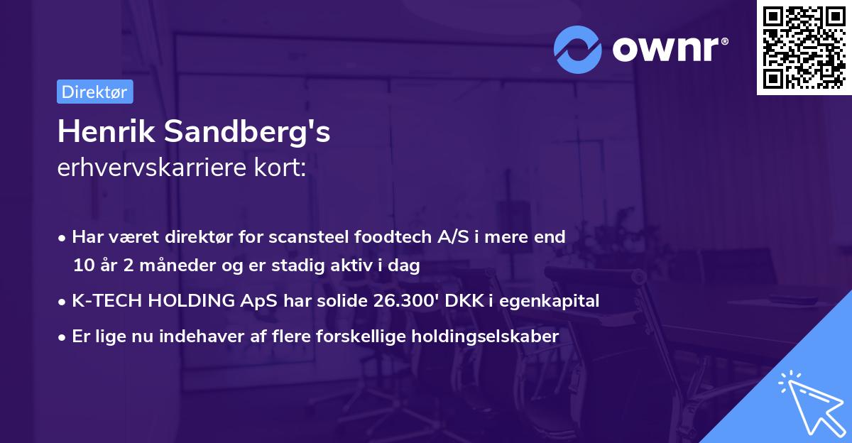 Henrik Sandberg's erhvervskarriere kort