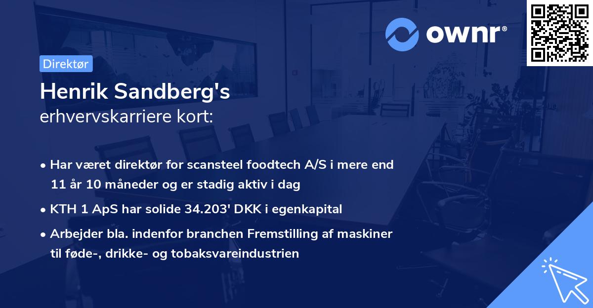 Henrik Sandberg's erhvervskarriere kort