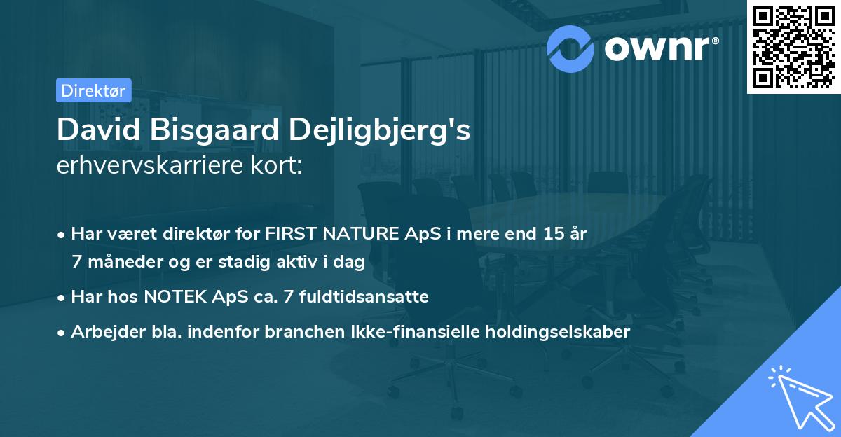 David Bisgaard Dejligbjerg's erhvervskarriere kort