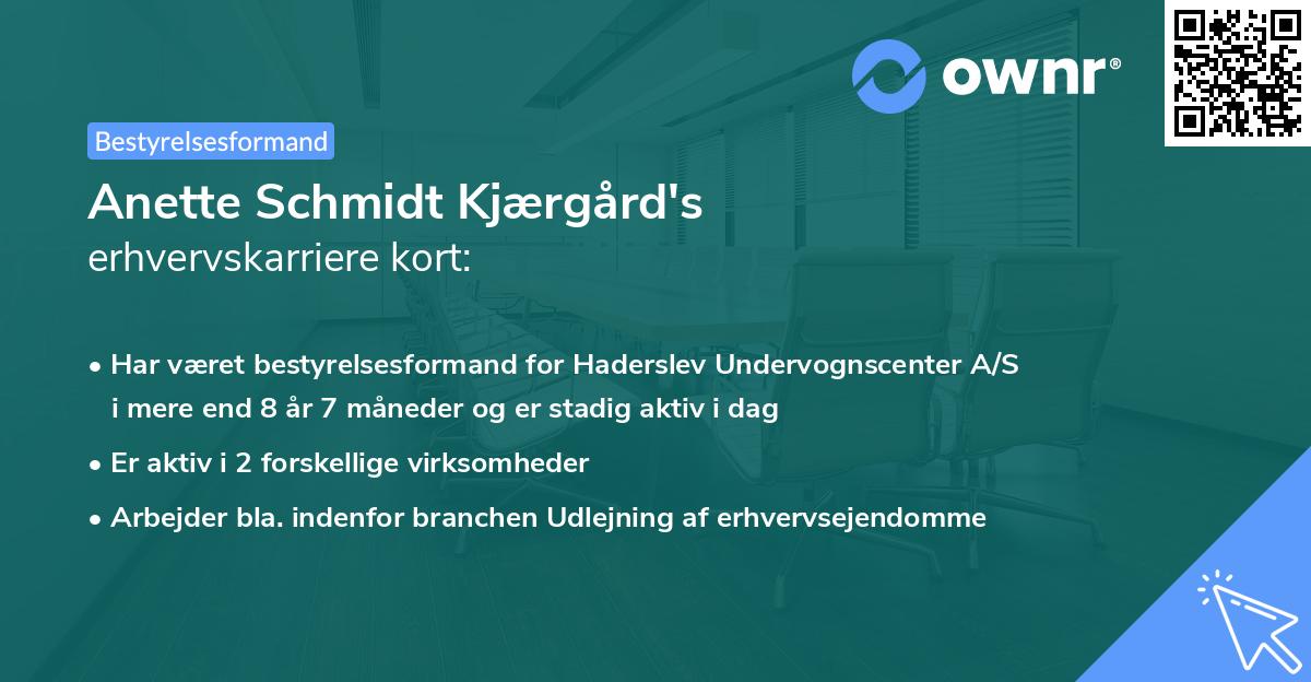 Anette Schmidt Kjærgård's erhvervskarriere kort