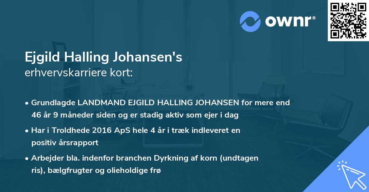 Ejgild Halling Johansen's erhvervskarriere kort