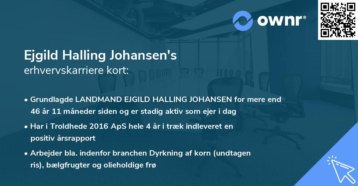 Ejgild Halling Johansen's erhvervskarriere kort