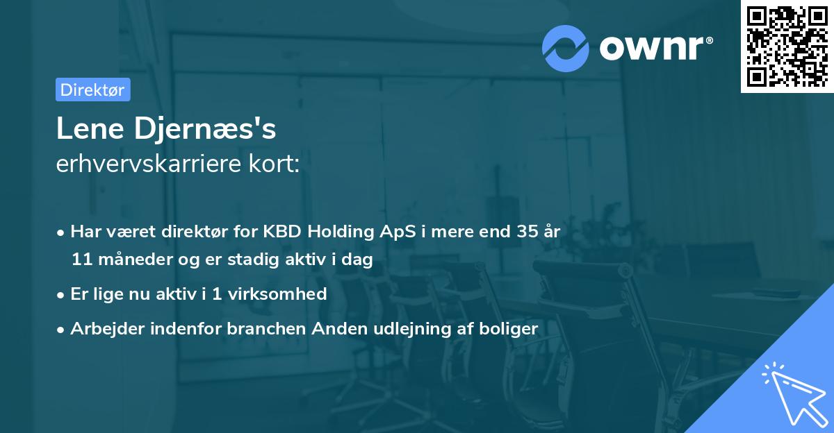 Lene Djernæs's erhvervskarriere kort