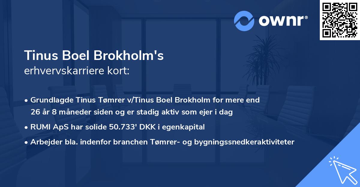 Tinus Boel Brokholm's erhvervskarriere kort