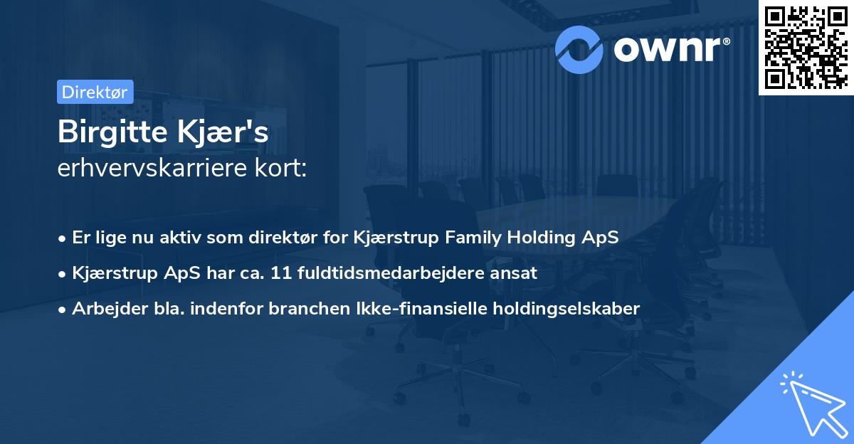 Birgitte Kjær's erhvervskarriere kort