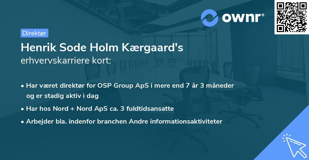 Henrik Sode Holm Kærgaard's erhvervskarriere kort