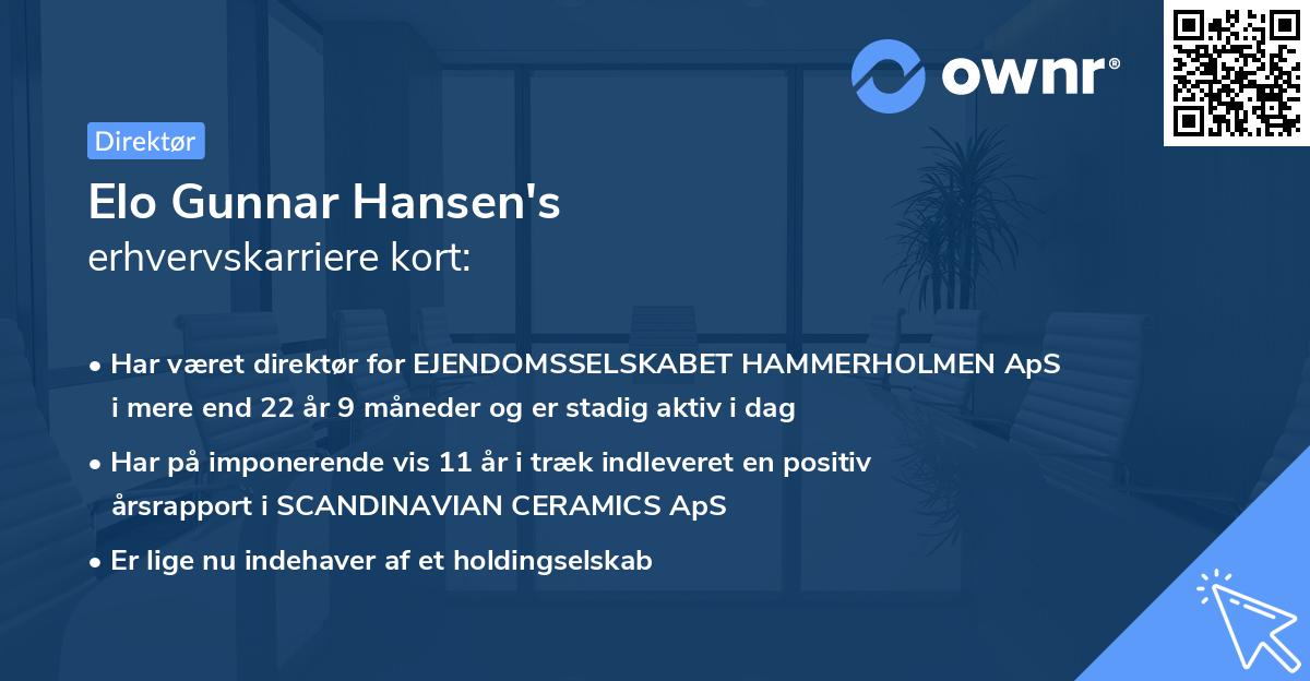 Elo Gunnar Hansen's erhvervskarriere kort