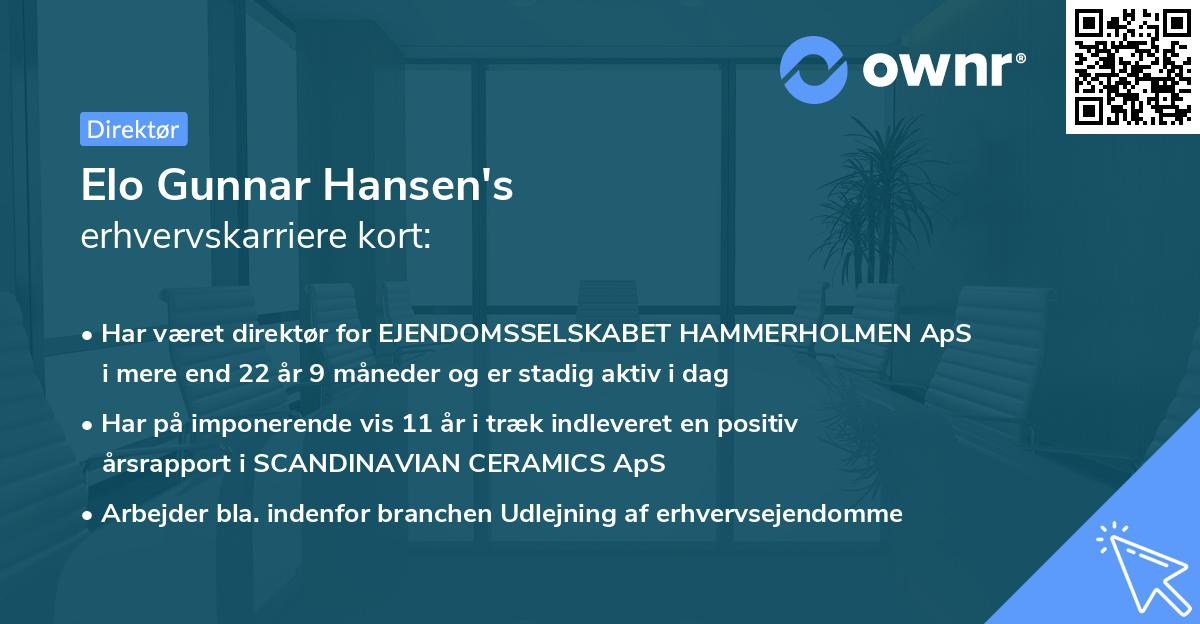 Elo Gunnar Hansen's erhvervskarriere kort