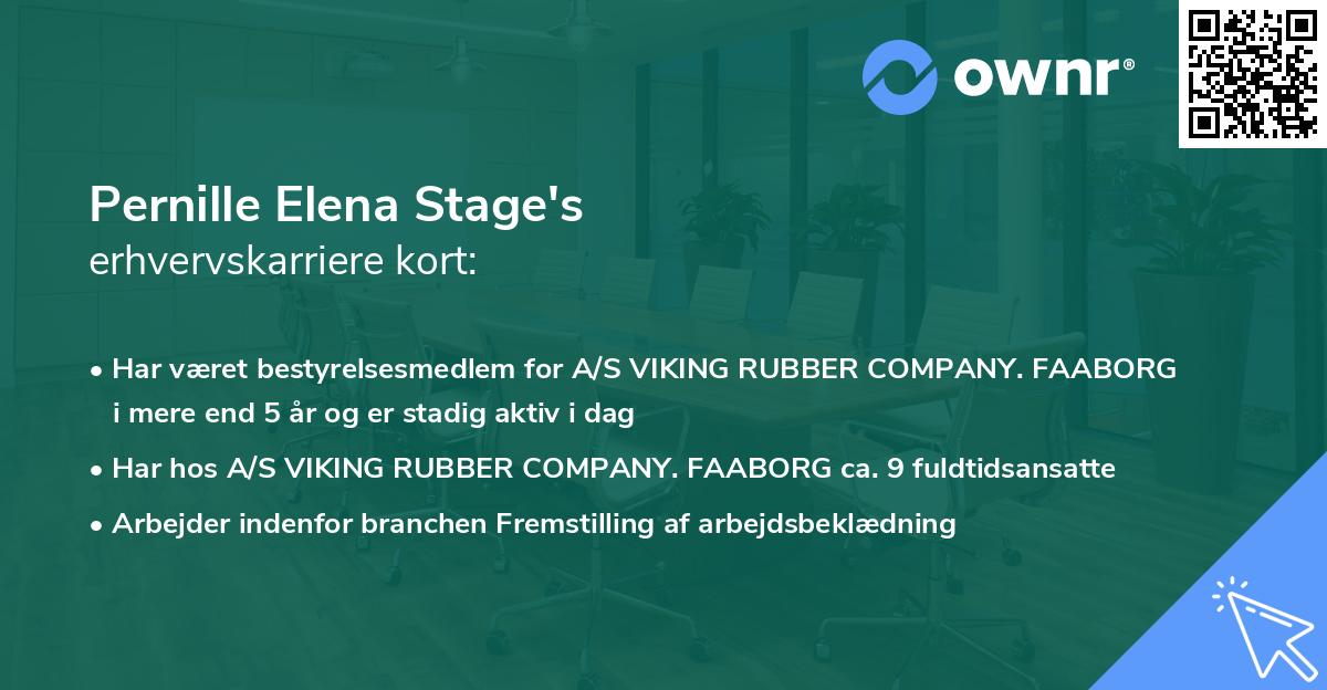 Pernille Elena Stage's erhvervskarriere kort