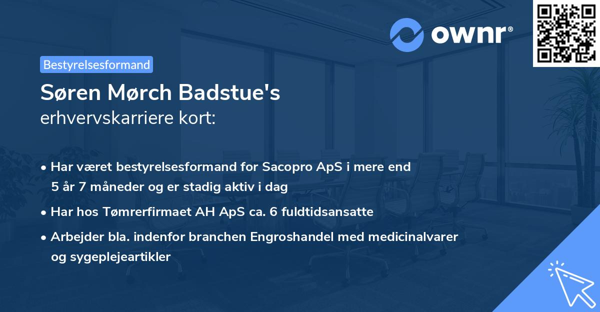 Søren Mørch Badstue's erhvervskarriere kort