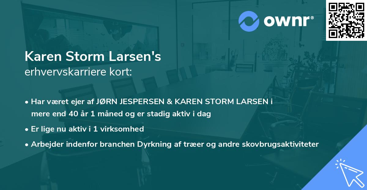 Karen Storm Larsen's erhvervskarriere kort