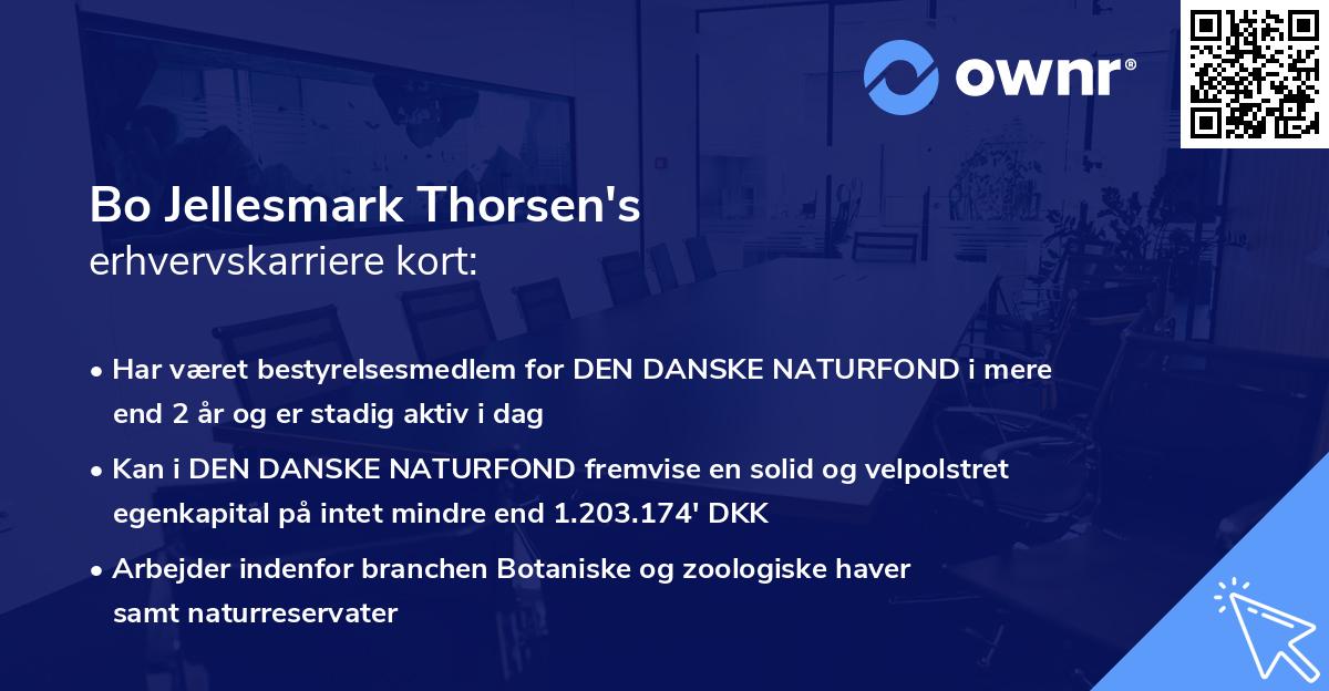 Bo Jellesmark Thorsen's erhvervskarriere kort