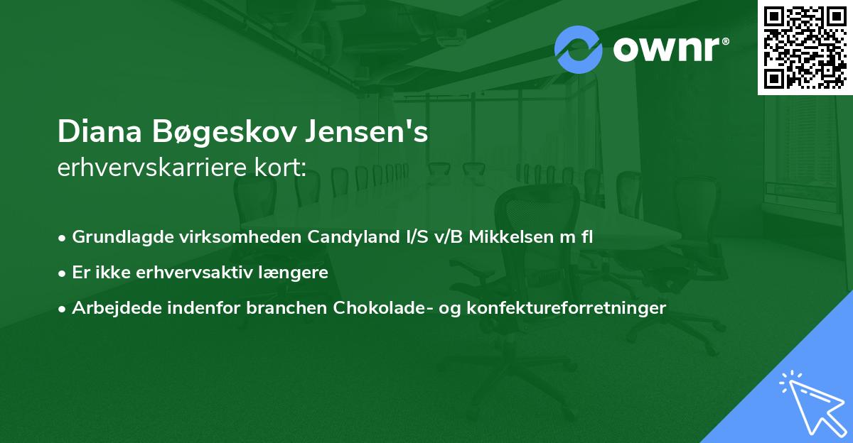 Diana Bøgeskov Jensen's erhvervskarriere kort