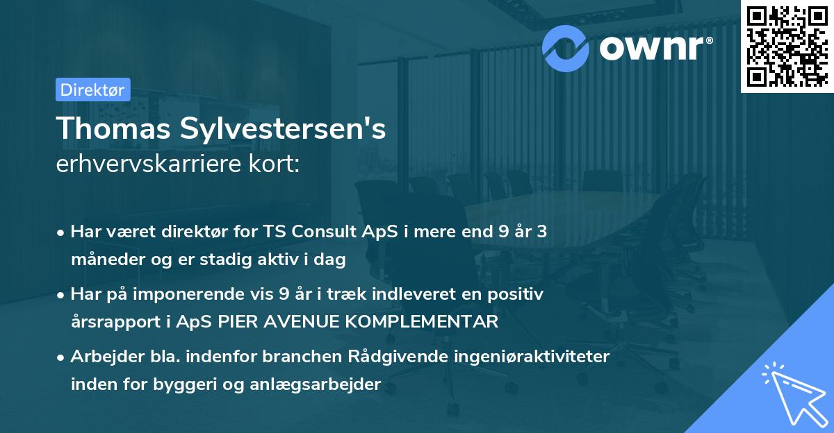 Thomas Sylvestersen's erhvervskarriere kort