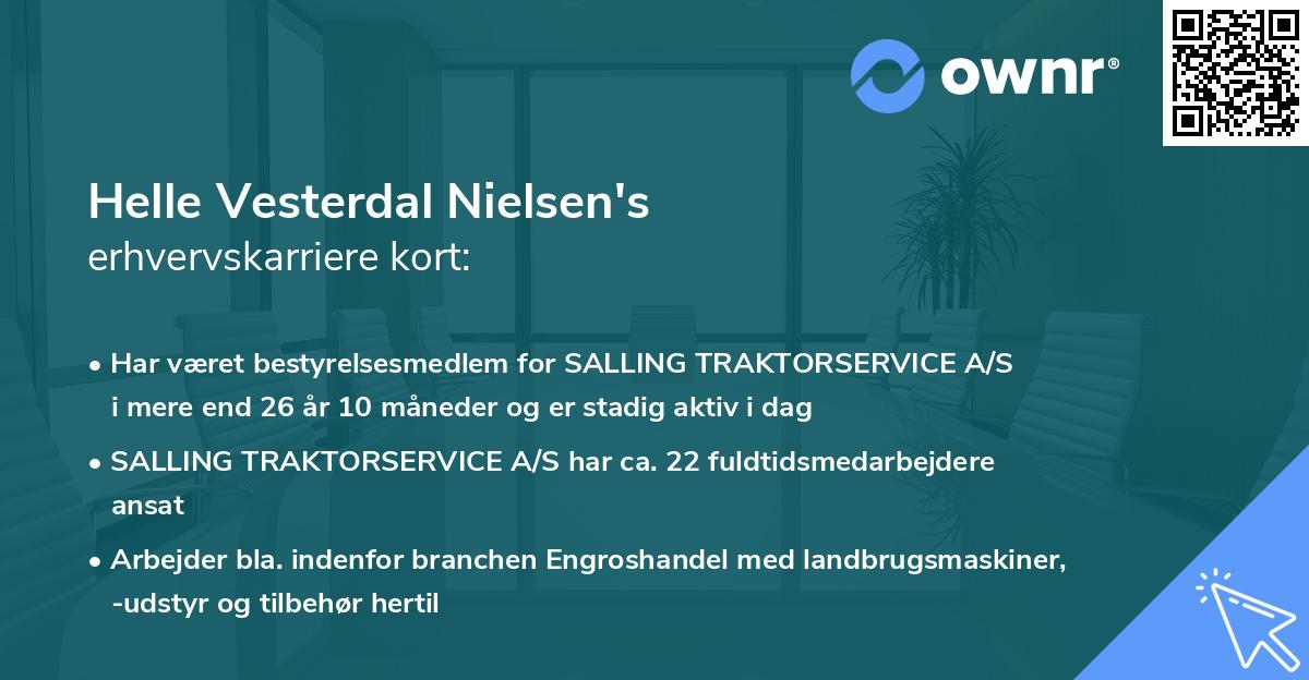 Helle Vesterdal Nielsen's erhvervskarriere kort