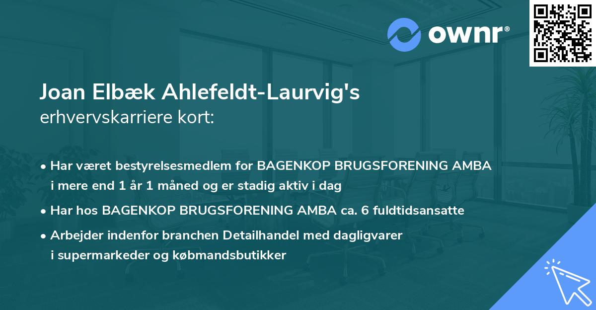Joan Elbæk Ahlefeldt-Laurvig's erhvervskarriere kort