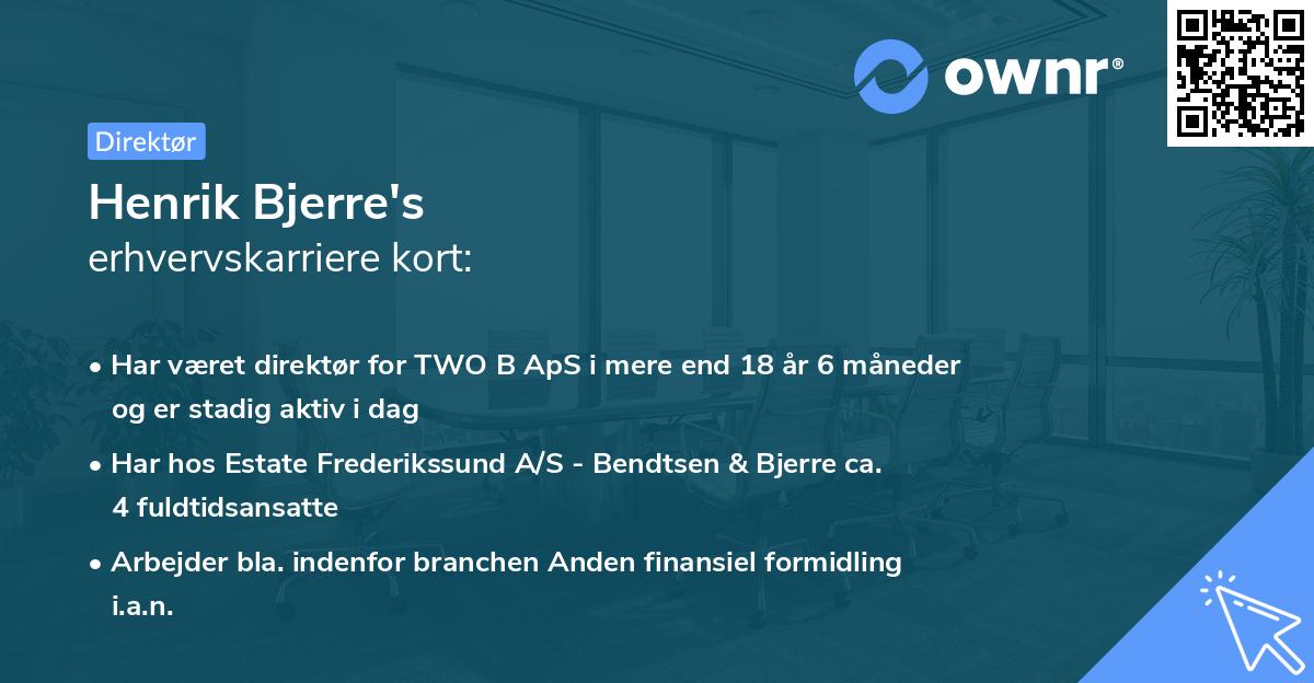 Henrik Bjerre's erhvervskarriere kort