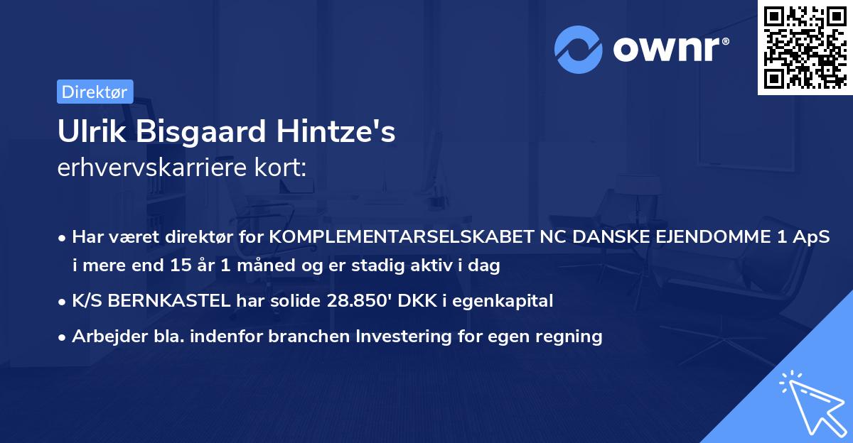 Ulrik Bisgaard Hintze's erhvervskarriere kort