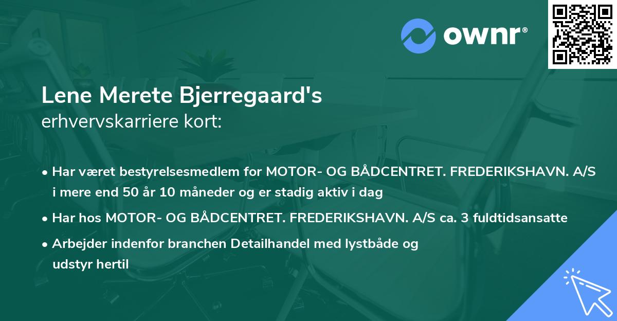 Lene Merete Bjerregaard's erhvervskarriere kort