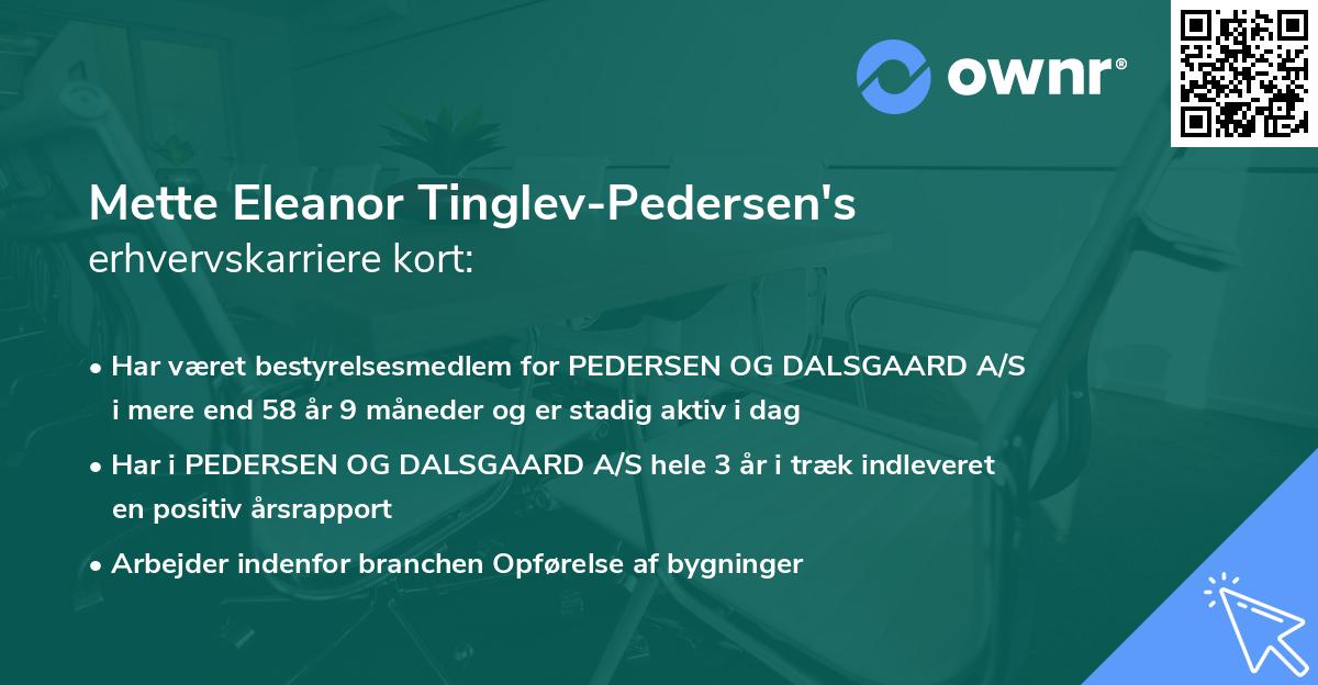 Mette Eleanor Tinglev-Pedersen's erhvervskarriere kort