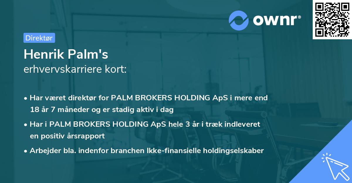 Henrik Palm's erhvervskarriere kort