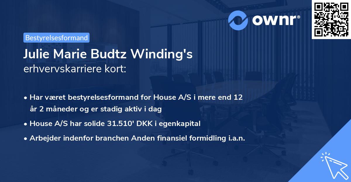 Julie Marie Budtz Winding's erhvervskarriere kort