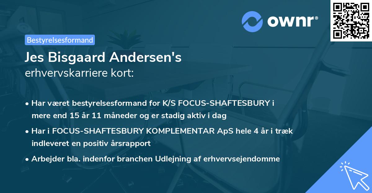 Jes Bisgaard Andersen's erhvervskarriere kort
