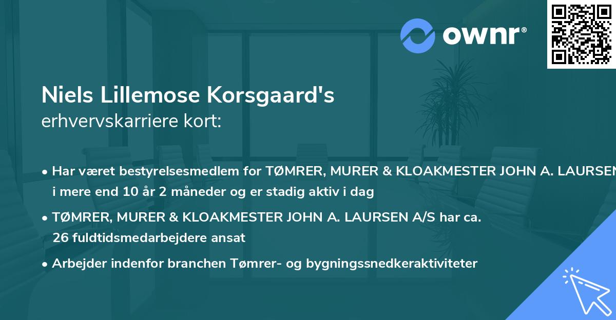 Niels Lillemose Korsgaard's erhvervskarriere kort