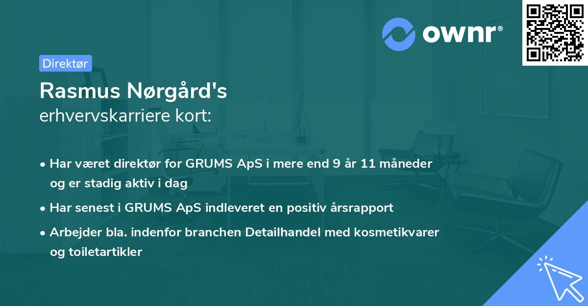 Rasmus Nørgård's erhvervskarriere kort