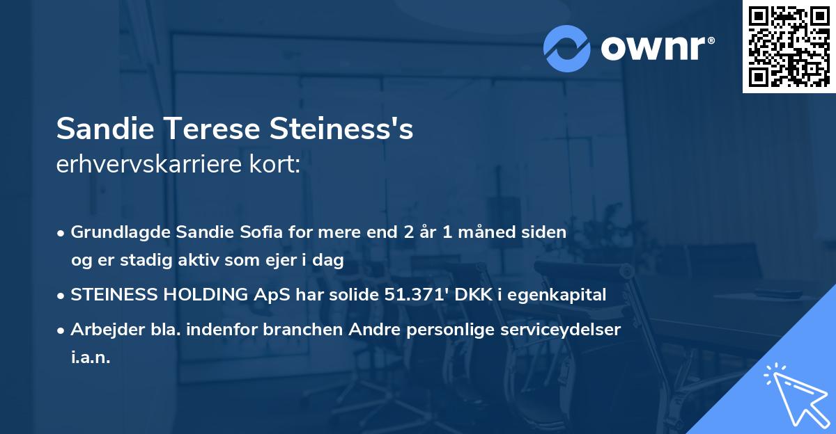 Sandie Terese Steiness's erhvervskarriere kort