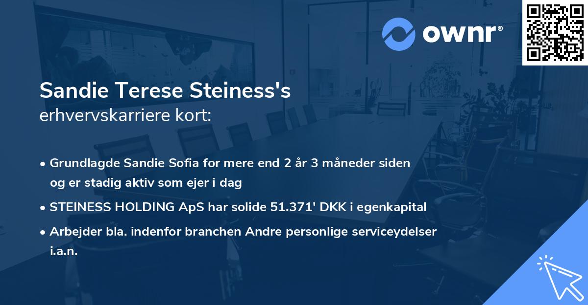 Sandie Terese Steiness's erhvervskarriere kort