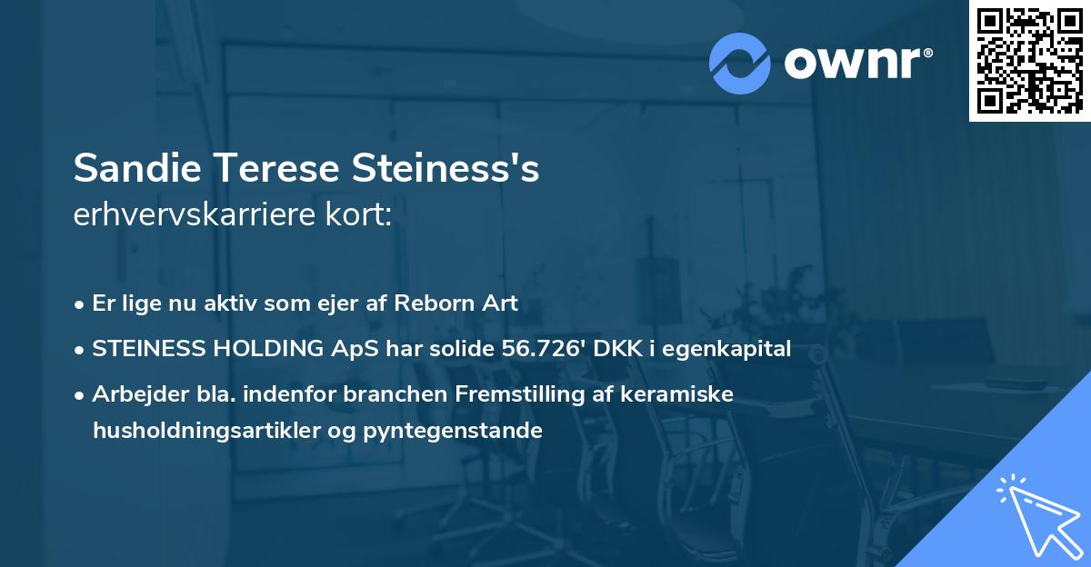 Sandie Terese Steiness's erhvervskarriere kort