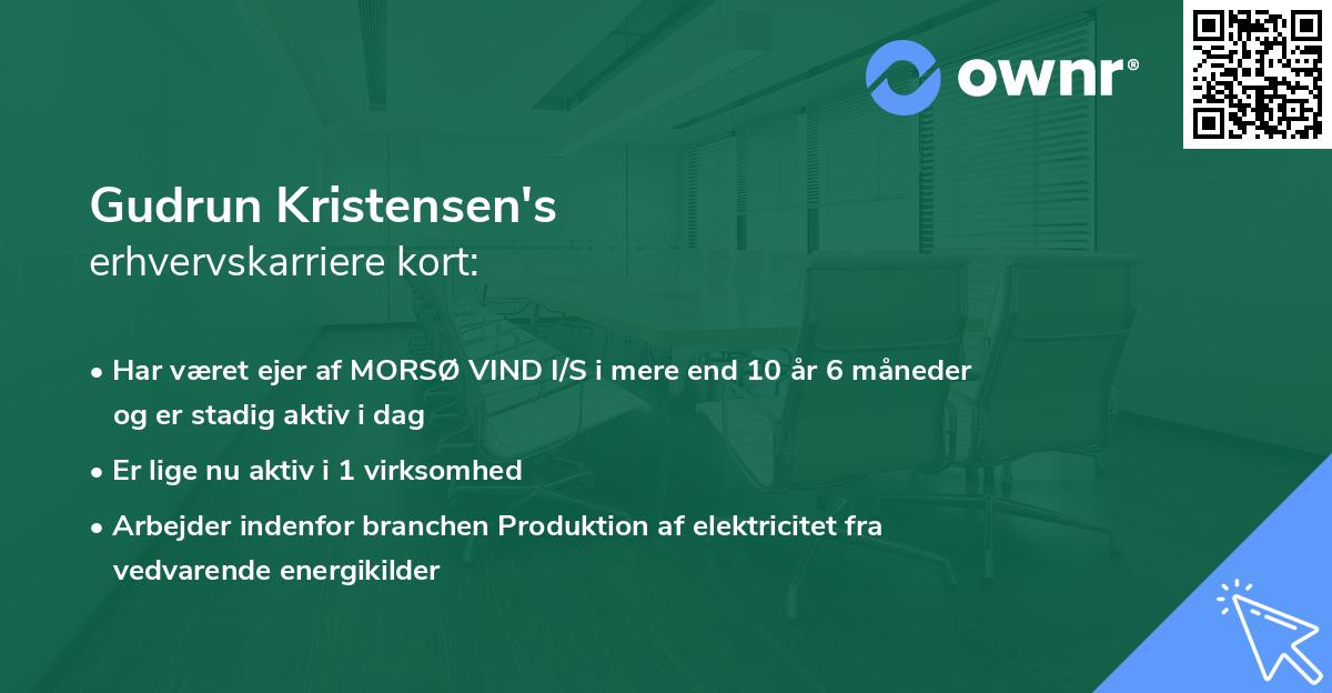 Gudrun Kristensen's erhvervskarriere kort