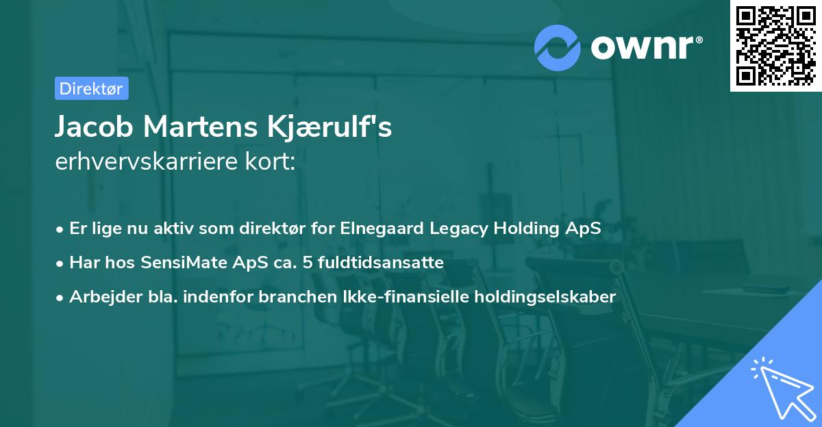 Jacob Martens Kjærulf's erhvervskarriere kort