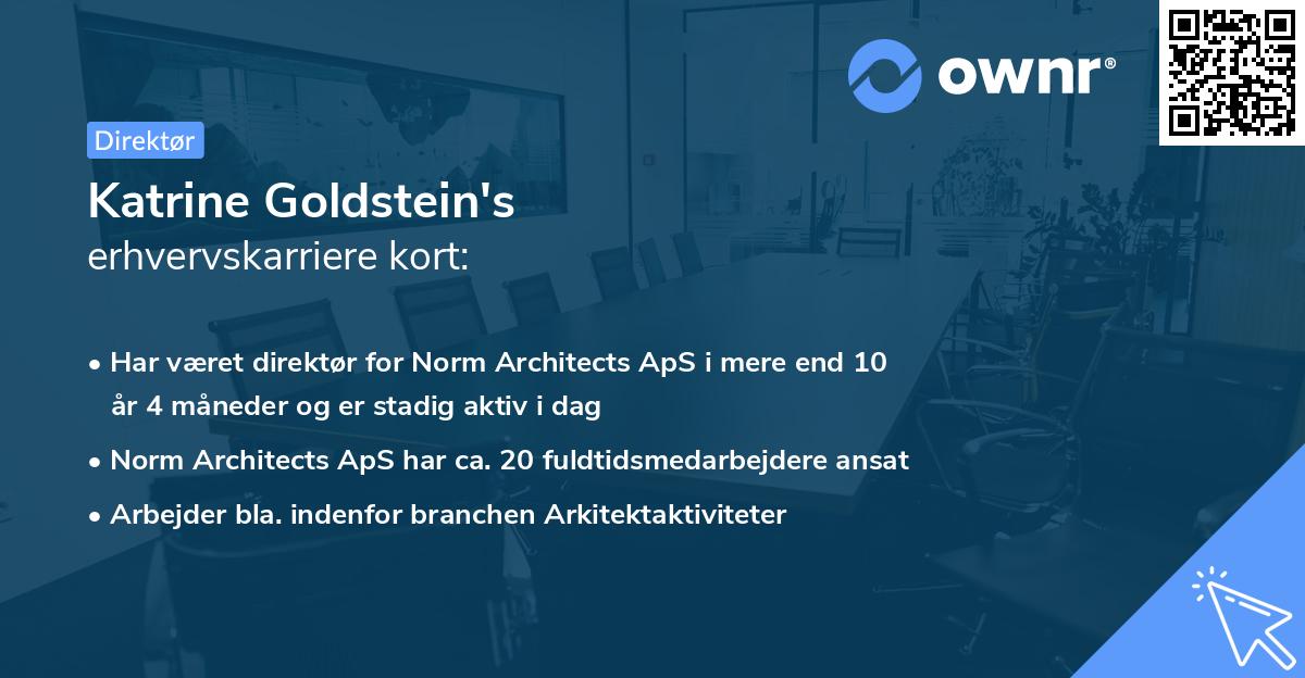Katrine Goldstein's erhvervskarriere kort
