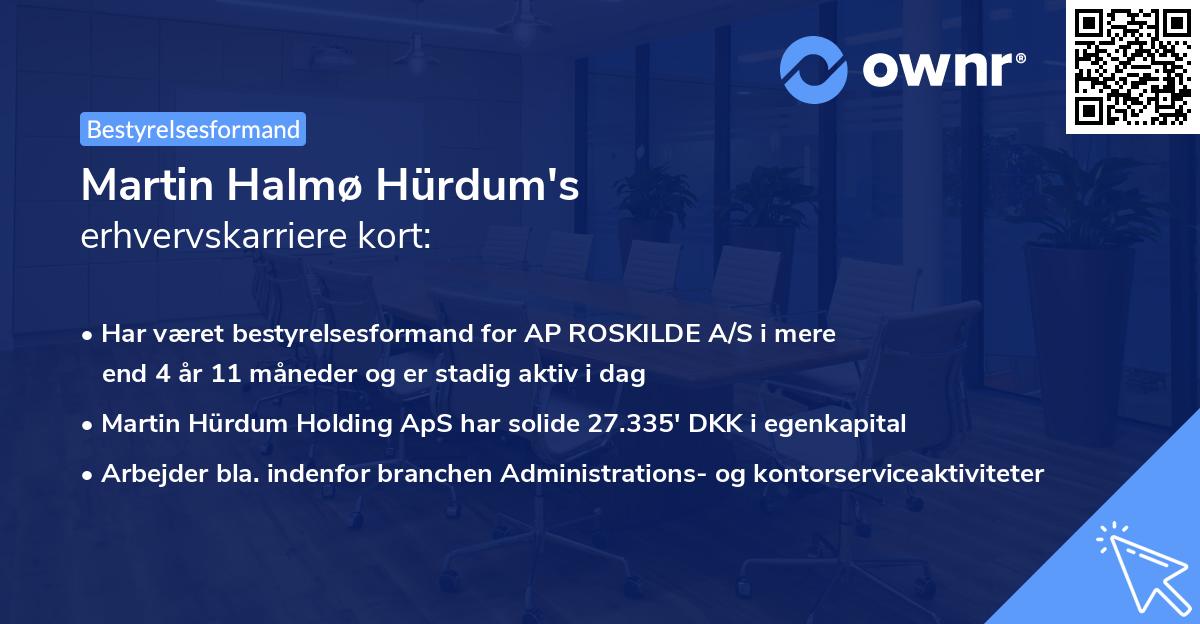 Martin Halmø Hürdum's erhvervskarriere kort
