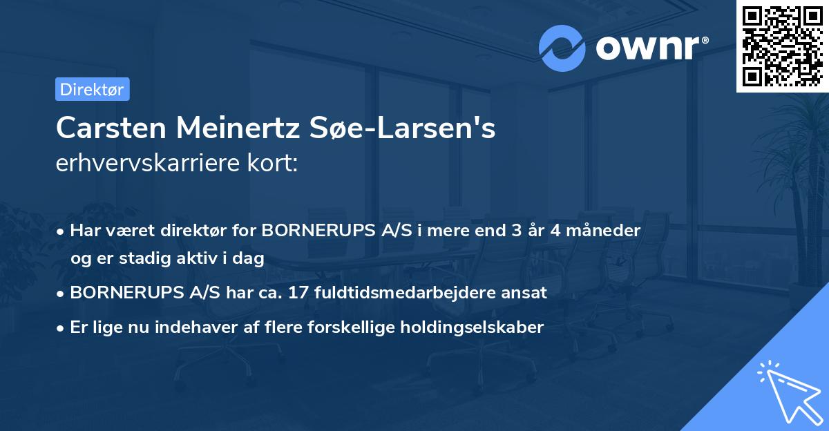 Carsten Meinertz Søe-Larsen's erhvervskarriere kort