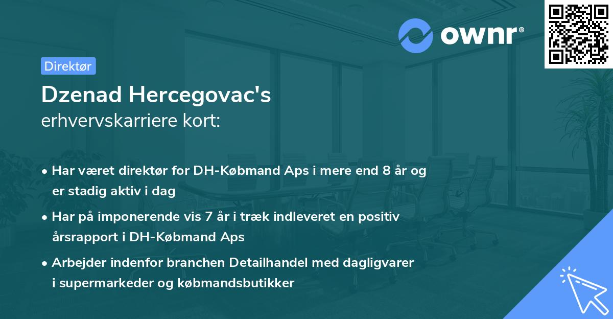 Dzenad Hercegovac's erhvervskarriere kort