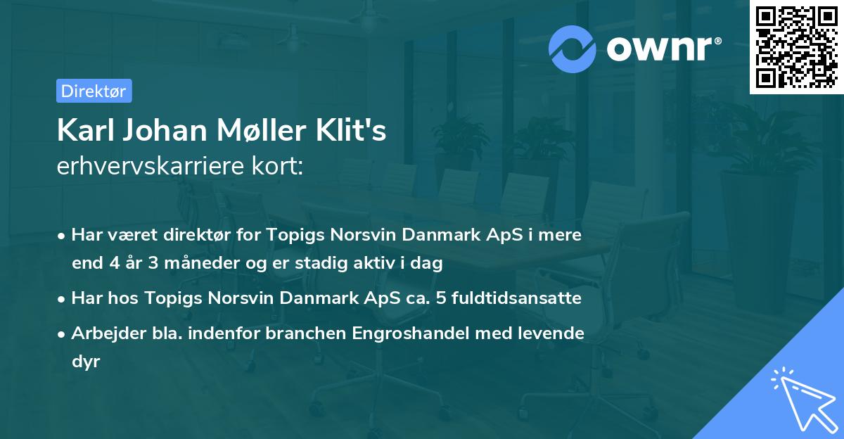 Karl Johan Møller Klit's erhvervskarriere kort