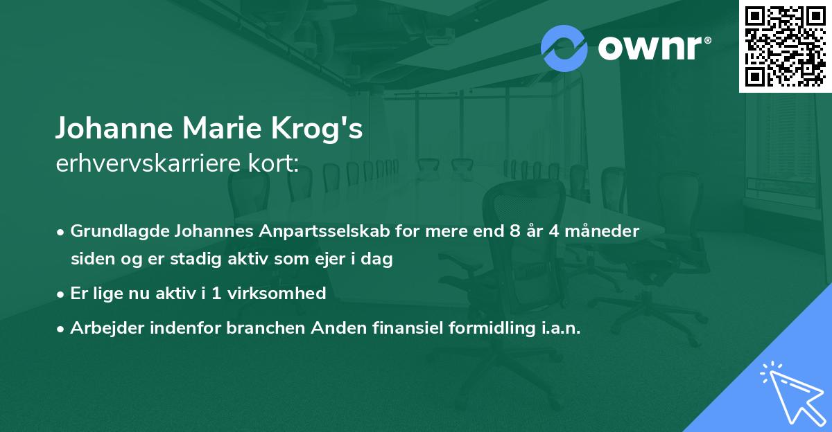 Johanne Marie Krog's erhvervskarriere kort